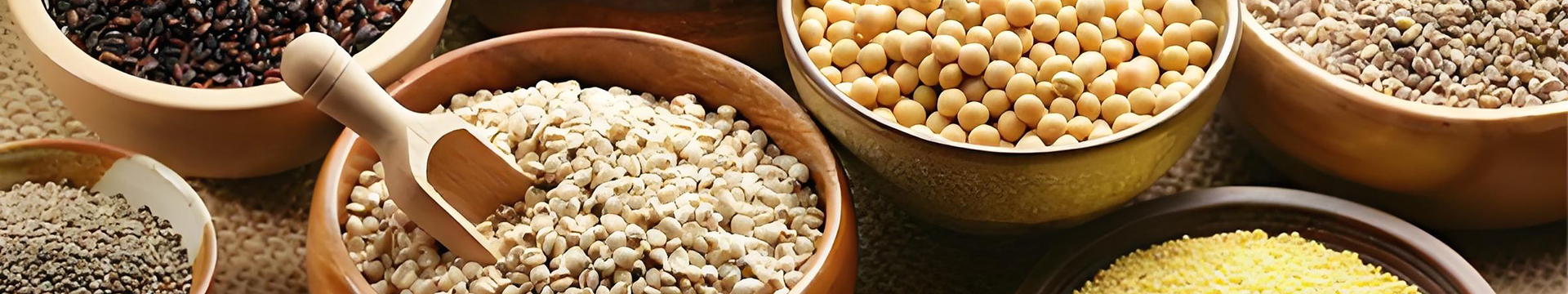 industrial size microwave ovens solution