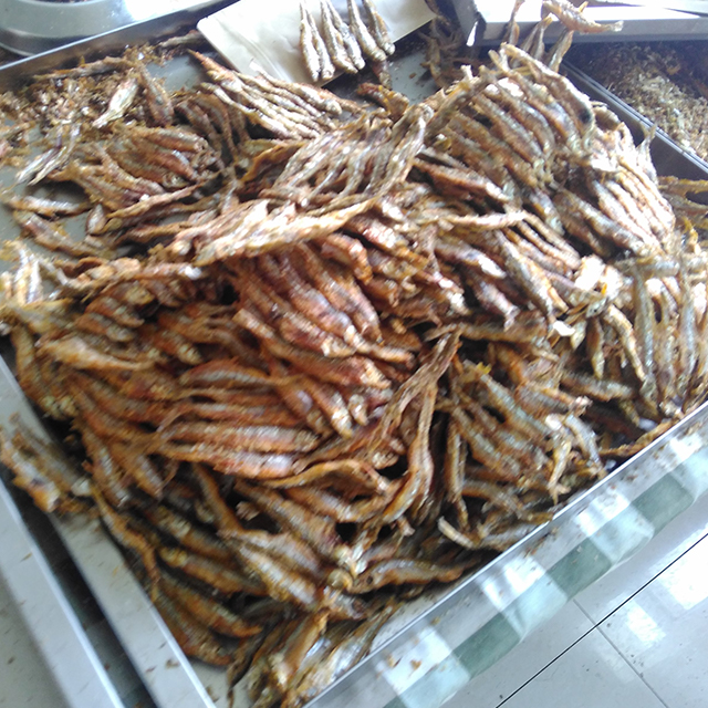 Seafood Gentle Microwave Thawing Equipment