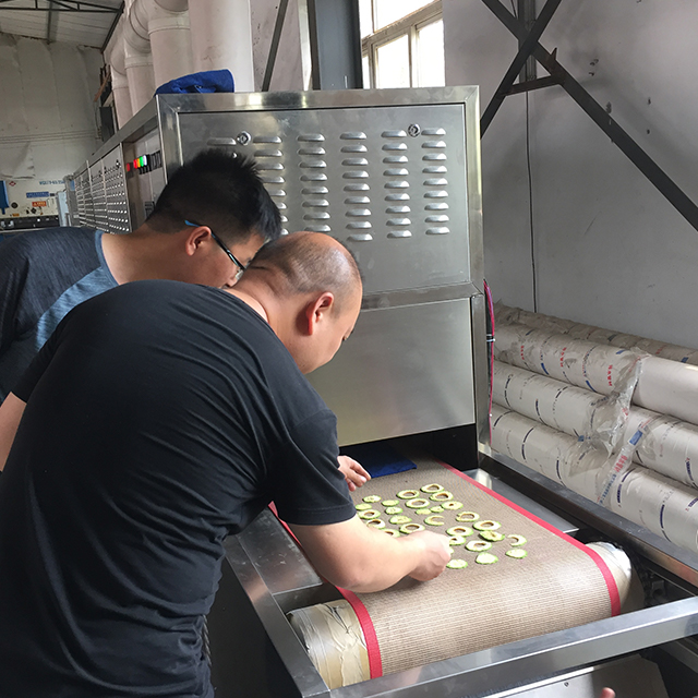 Industrial Food Microwave Dryer