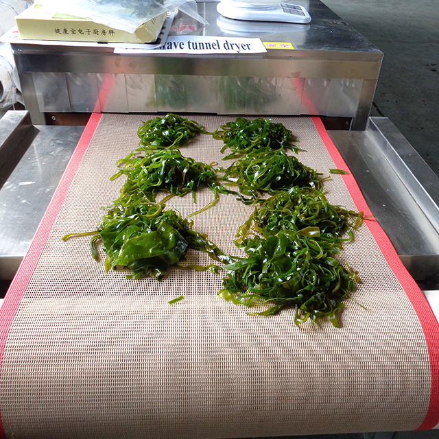 Seafood Gentle Microwave Thawing Equipment