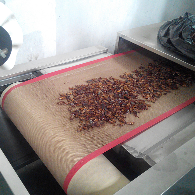 Wax Moth Rapid Dry Ripening Equipment