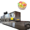 Continuous microwave puffing equipment 语气调整
