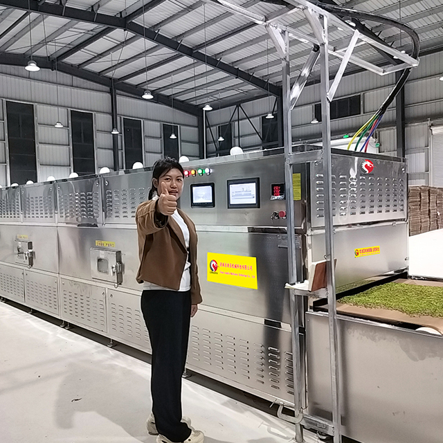 Grain Continuous Microwave Drying Equipment