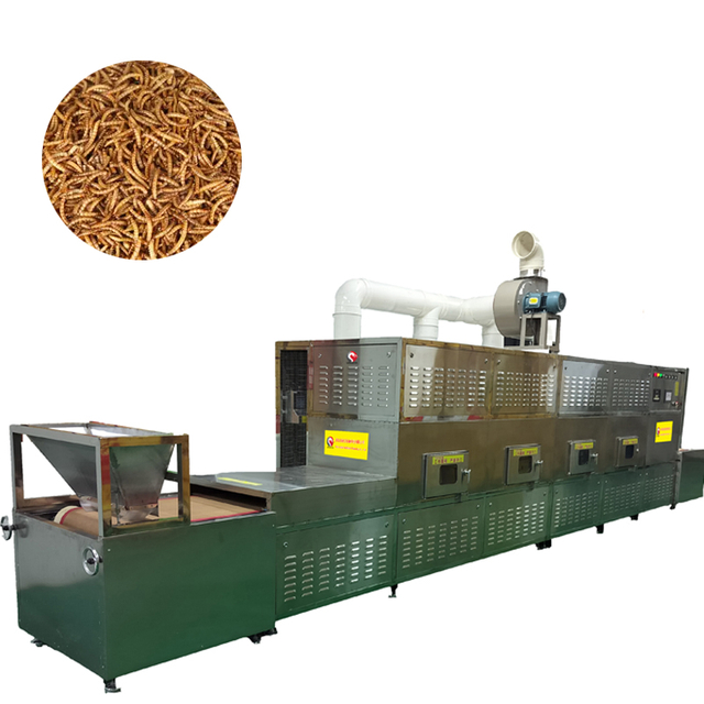 Yellow mealworm microwave drying and ripening equipment