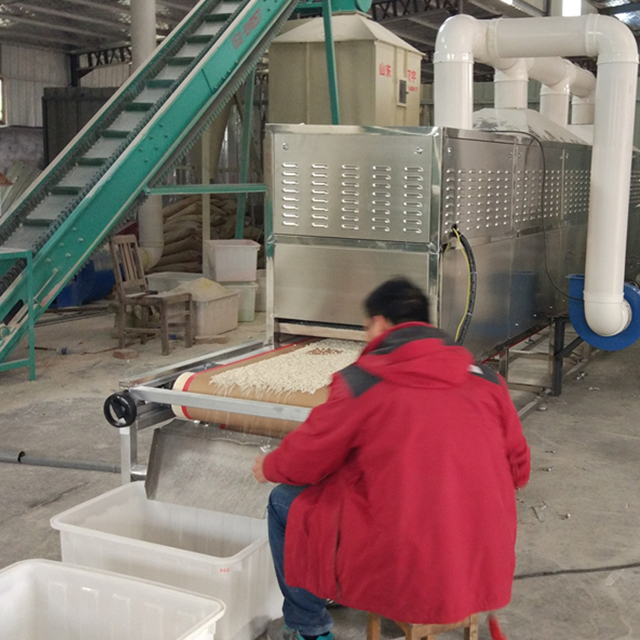 Pet Snack Microwave Dryer