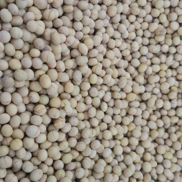 Soybean Precision Microwave Roasting Dryer