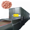 Peanut Microwave Roasting Machine