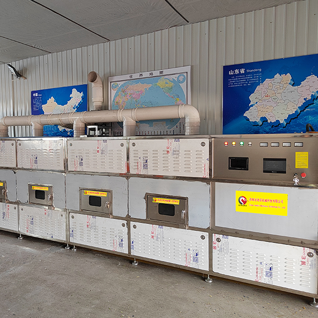 Soybean Precision Microwave Roasting Dryer