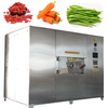 Low-temperature fresh-locking fruit and vegetable dryer 