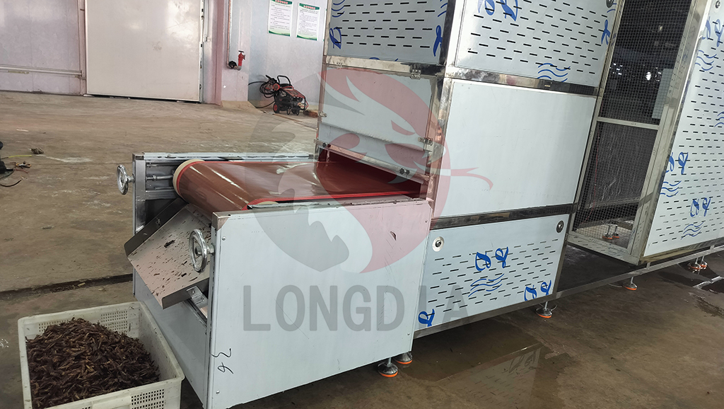Microwave Insect Drying Puffing And Sterilization Machine 9.jpg