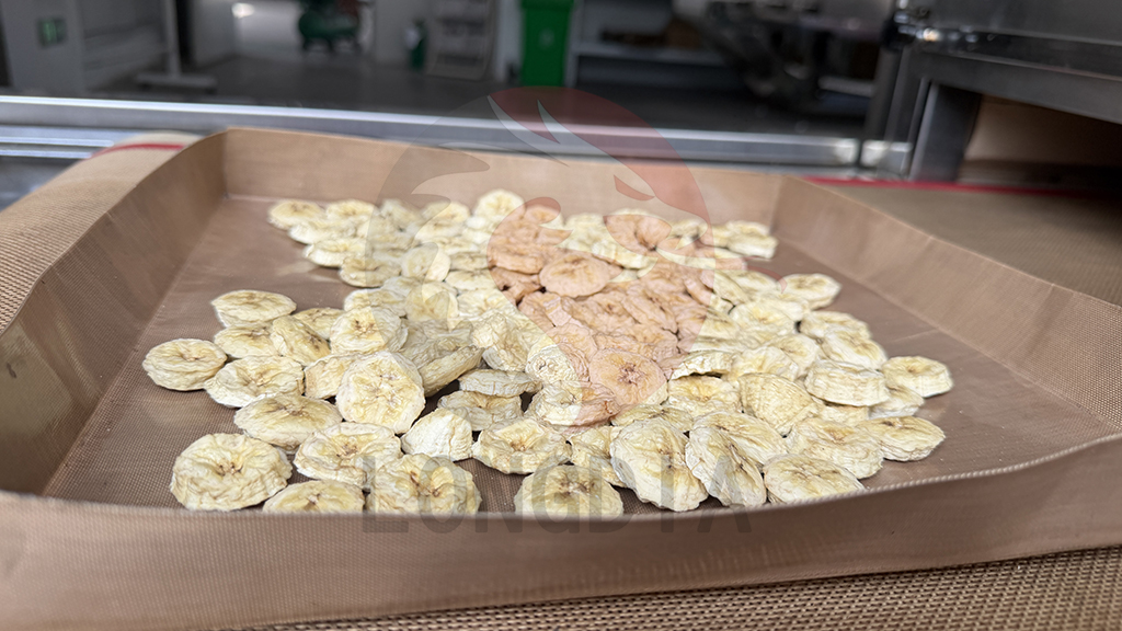 banana drying 20.jpg