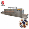 Microwave Sterilization for Bottled Food, Beef & Mustard Preserves