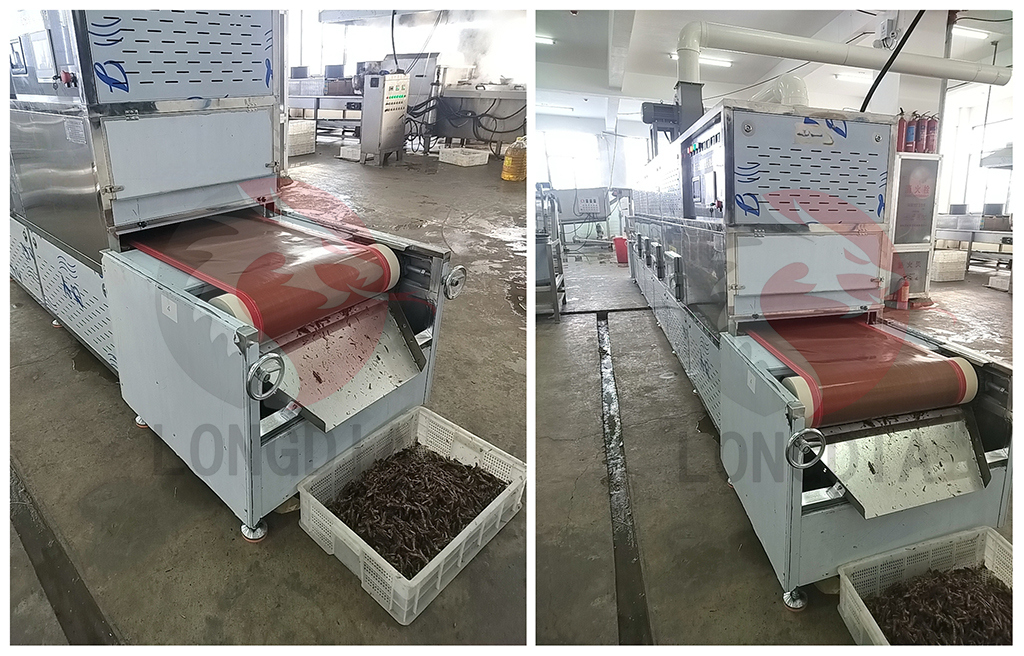 Microwave Insect Drying Puffing And Sterilization Machine 10.jpg