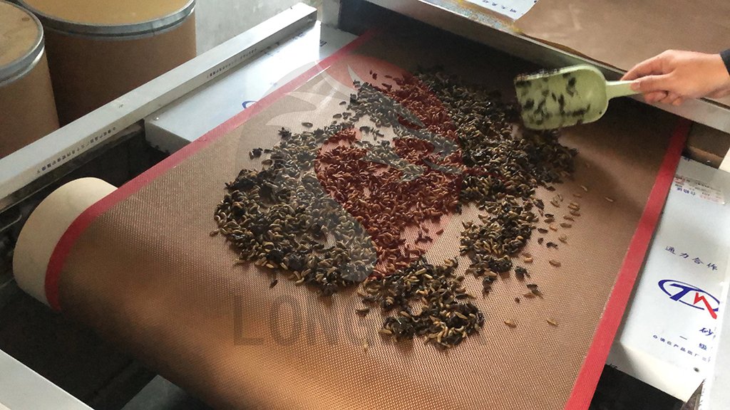 Microwave Insect Drying Puffing And Sterilization Machine 8.jpg